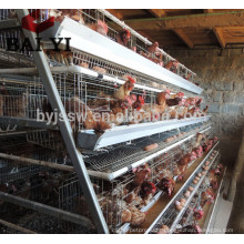 Export Kenya Galvanized Chicken Cage/ Chicken Farm Hot Sale A Type Layer Poultry Battery Cages